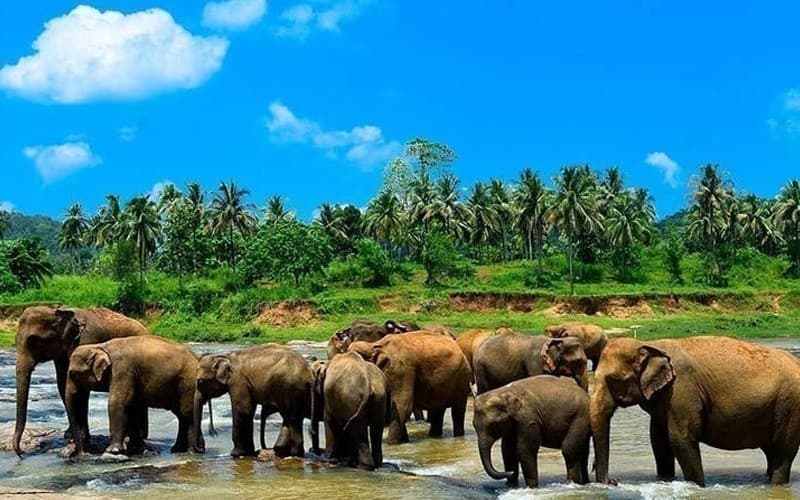 sri-lanka-06-days-05-nights