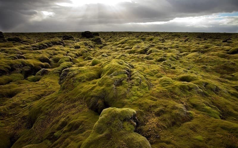 the-highlights-of-iceland-in-5-days