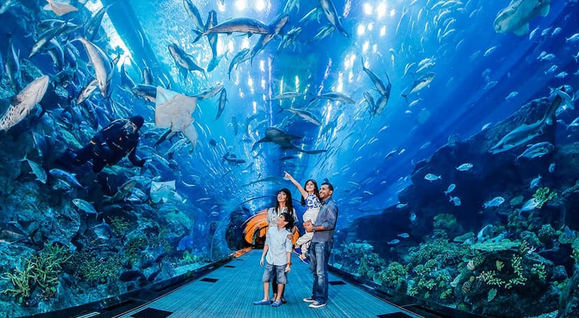 dubai-aquarium