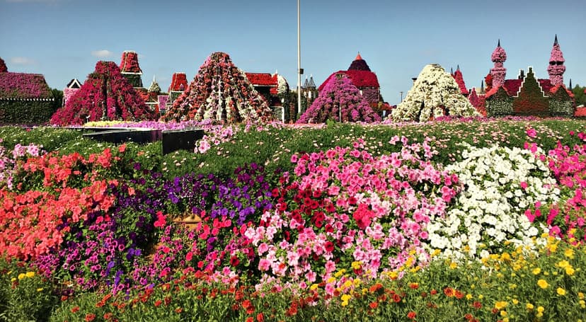 miracle-garden